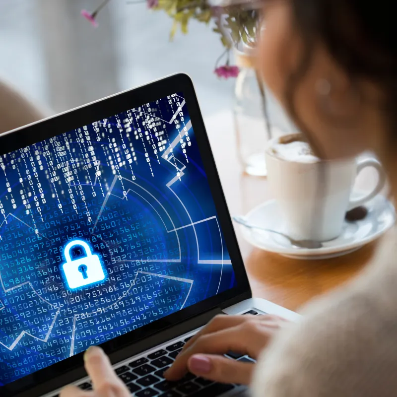 Cybersecurity & Infrastructure Protection